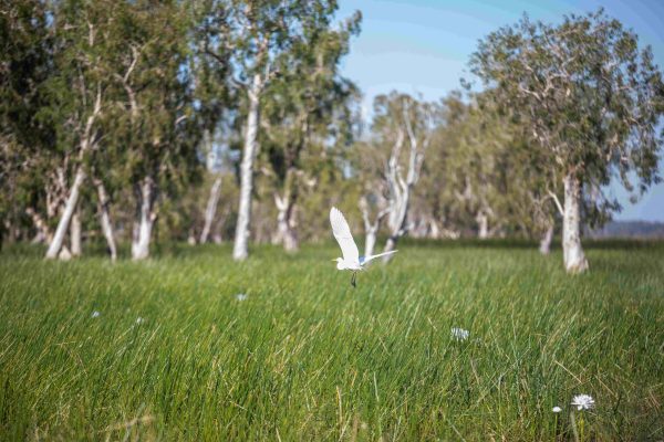 BPDay3-117 BPDay3-117