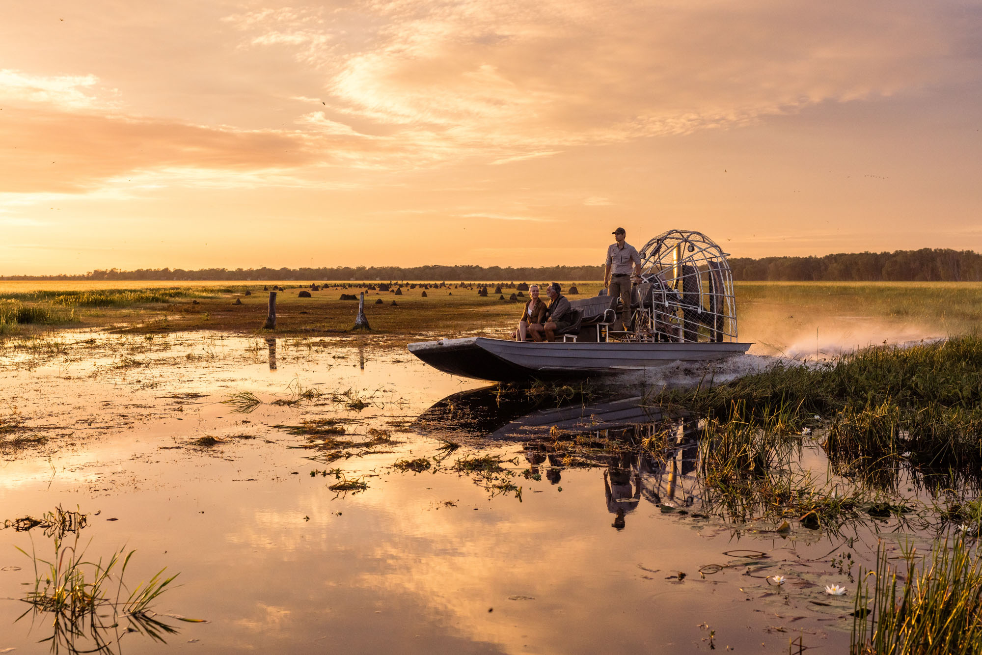 Season of Wild Discovery